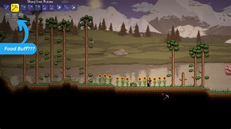 best terraria seeds 2023